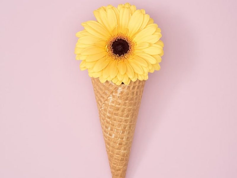 لورم ایپسوم 2