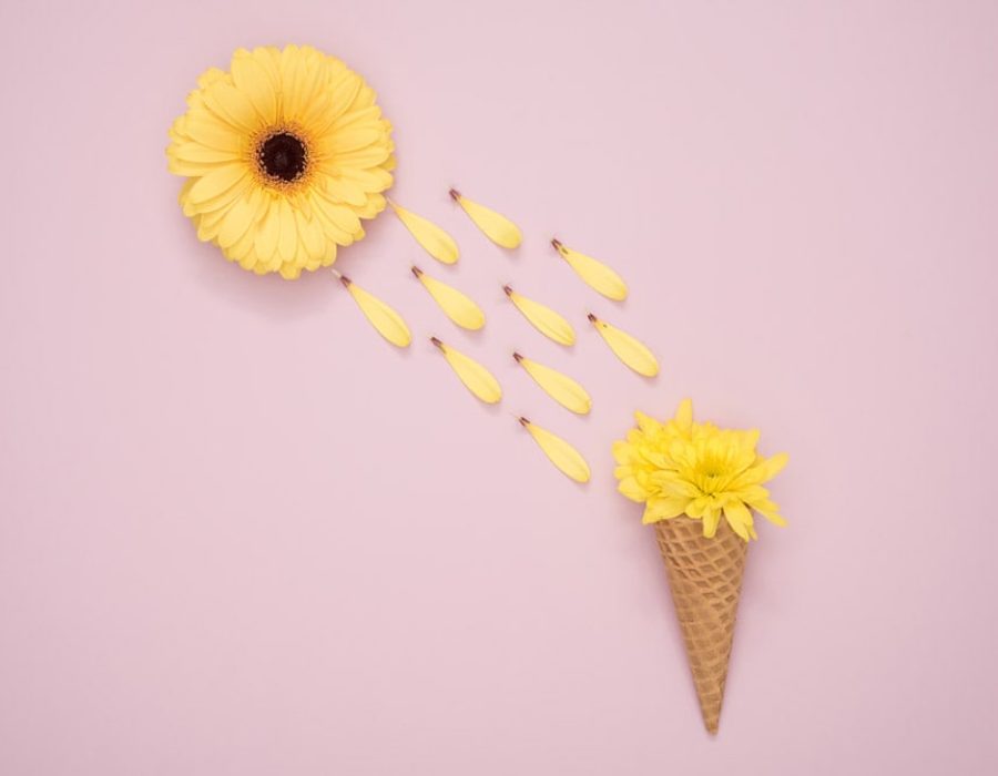 لورم ایپسوم 3